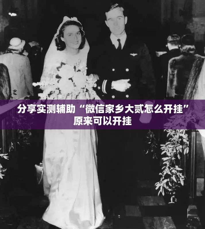分享实测辅助“微信家乡大贰怎么开挂”原来可以开挂