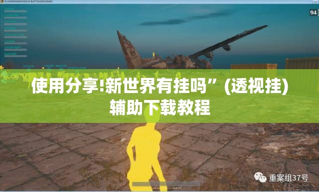 使用分享!新世界有挂吗”(透视挂)辅助下载教程