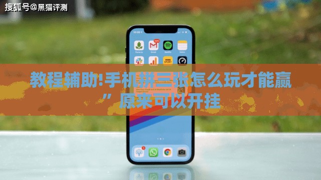 教程辅助!手机拼三张怎么玩才能赢”原来可以开挂