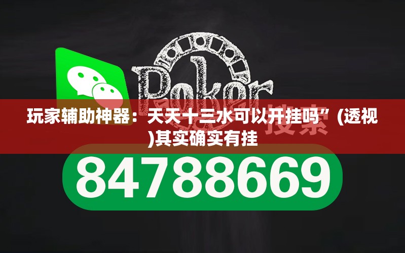 玩家辅助神器：天天十三水可以开挂吗”(透视)其实确实有挂